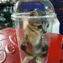 creator_of_heaven_and_earth avatar