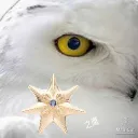z_y3217