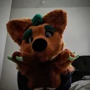 harrywolfy8911