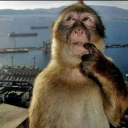 avatar Xx_FortnitePro6969_xX