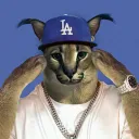 debilich avatar