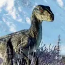 indominuscore