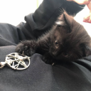 avatar one winged angel