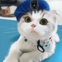 ayanosuper2015958's Avatar