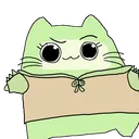 enricoin