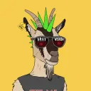 chris_mallalieu