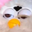 catsie_