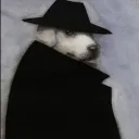 h_e1 avatar