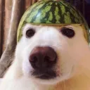 hwei_omg