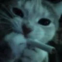 plokhoikuromi