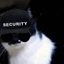 jsacco