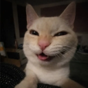 avatar Syberian