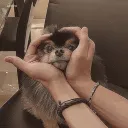 jazzythepotato