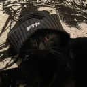 jankymane