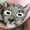 its.moka