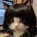jelei_x