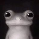 winrqr