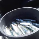 fishbarrel900
