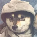 fernando4864_ avatar