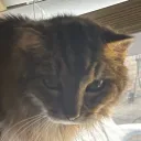 chew.chew.chew.chew.chew.chew