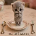 mlcm.