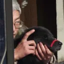 babygogogo