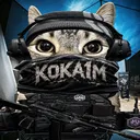 koka1358