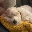 .xilo