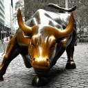 madbull8050
