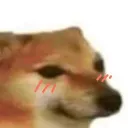 facauvang