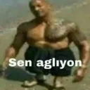 prolexo