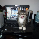 avatar why were you my clarity