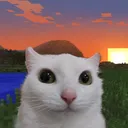 zoyuc