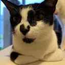 samilnft