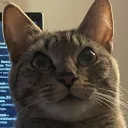 tyfromohio
