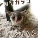 sa_masaki