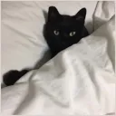 flinecreate