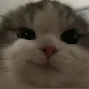 xertvocalz