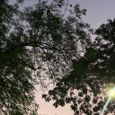 avatar Dalla Sirius Black