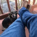 мιѕтєянαмєѕ's Discord avatar