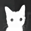 avatar ○□Tray□○