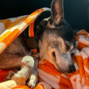 avatar WaterForPlants🌱