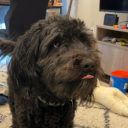 avatar WaterForPlants🌱