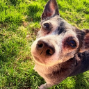 avatar WaterForPlants🌱