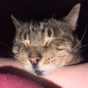 avatar WaterForPlants🌱