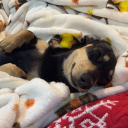 avatar WaterForPlants🌱