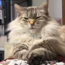 avatar WaterForPlants🌱