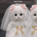 avatar 𝑫𝒂𝒏𝒊𝒆𝒍𝒂𝒂. ⋆