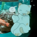 avatar cheese