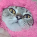 haylexgames8